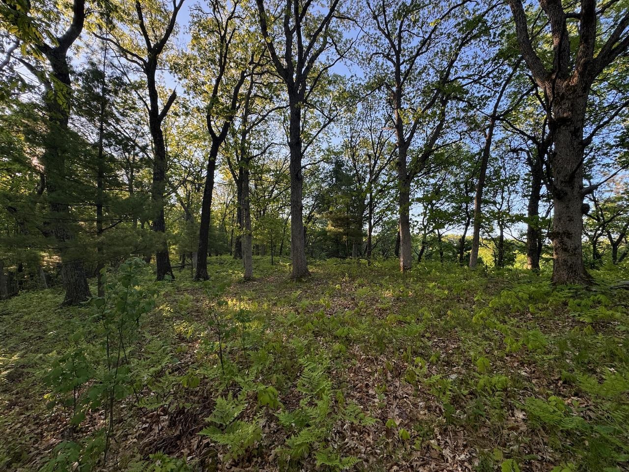 3824 County Highway East Warrens, WI 54666 - Photo 56 of 73