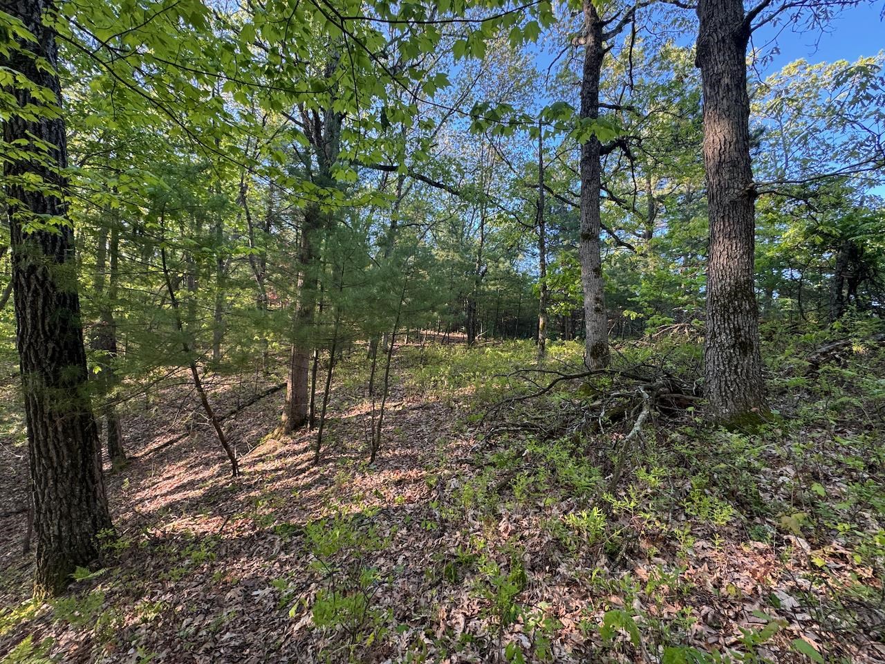 3824 County Highway East Warrens, WI 54666 - Photo 58 of 73