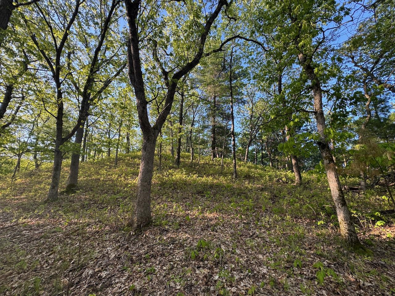 3824 County Highway East Warrens, WI 54666 - Photo 60 of 73