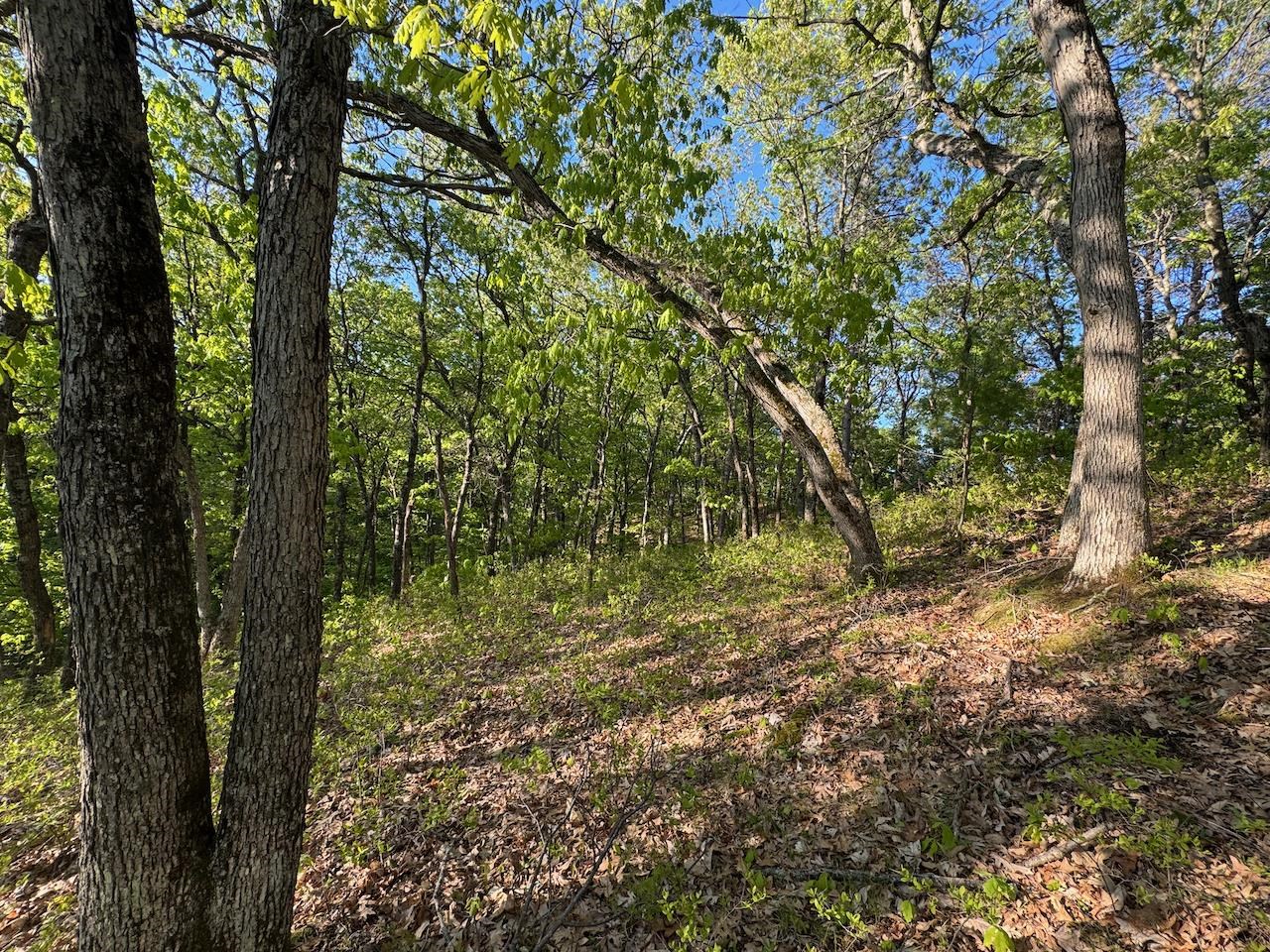 3824 County Highway East Warrens, WI 54666 - Photo 61 of 73