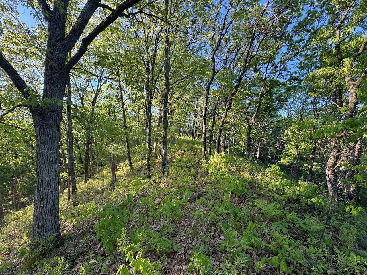 3824 County Highway East Warrens, WI 54666 - Photo 62 of 73