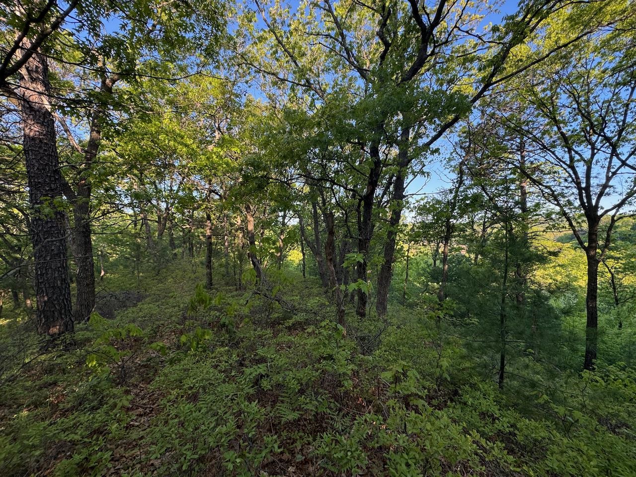 3824 County Highway East Warrens, WI 54666 - Photo 64 of 73