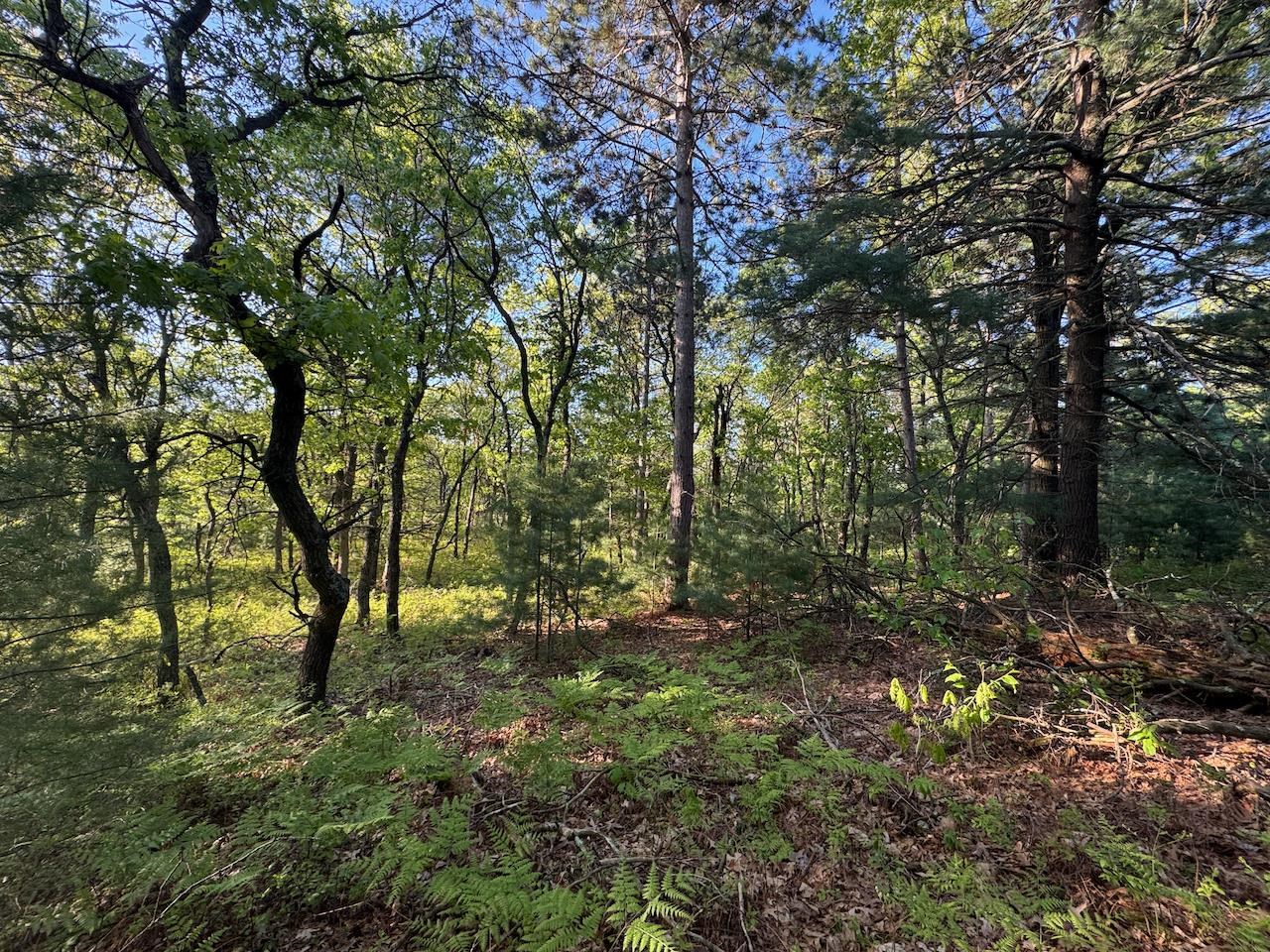 3824 County Highway East Warrens, WI 54666 - Photo 65 of 73