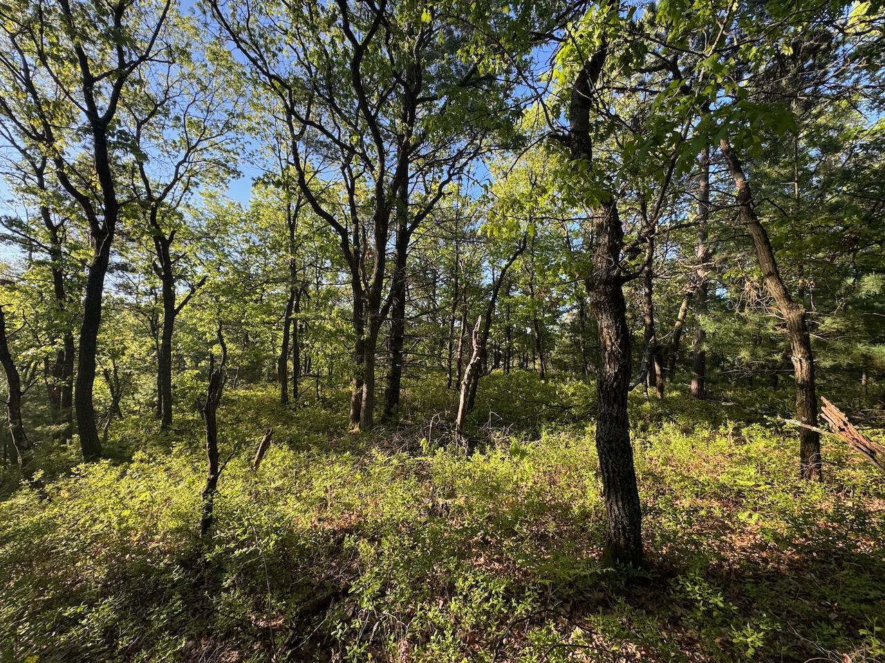 3824 County Highway East Warrens, WI 54666 - Photo 66 of 73