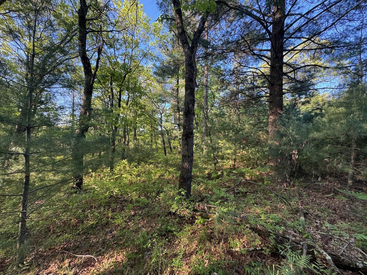 3824 County Highway East Warrens, WI 54666 - Photo 67 of 73