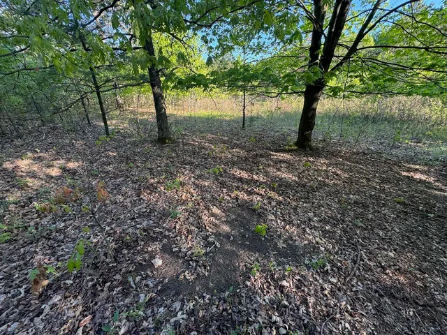 $789,000 | 3824 County Highway East, Warrens, WI 54666