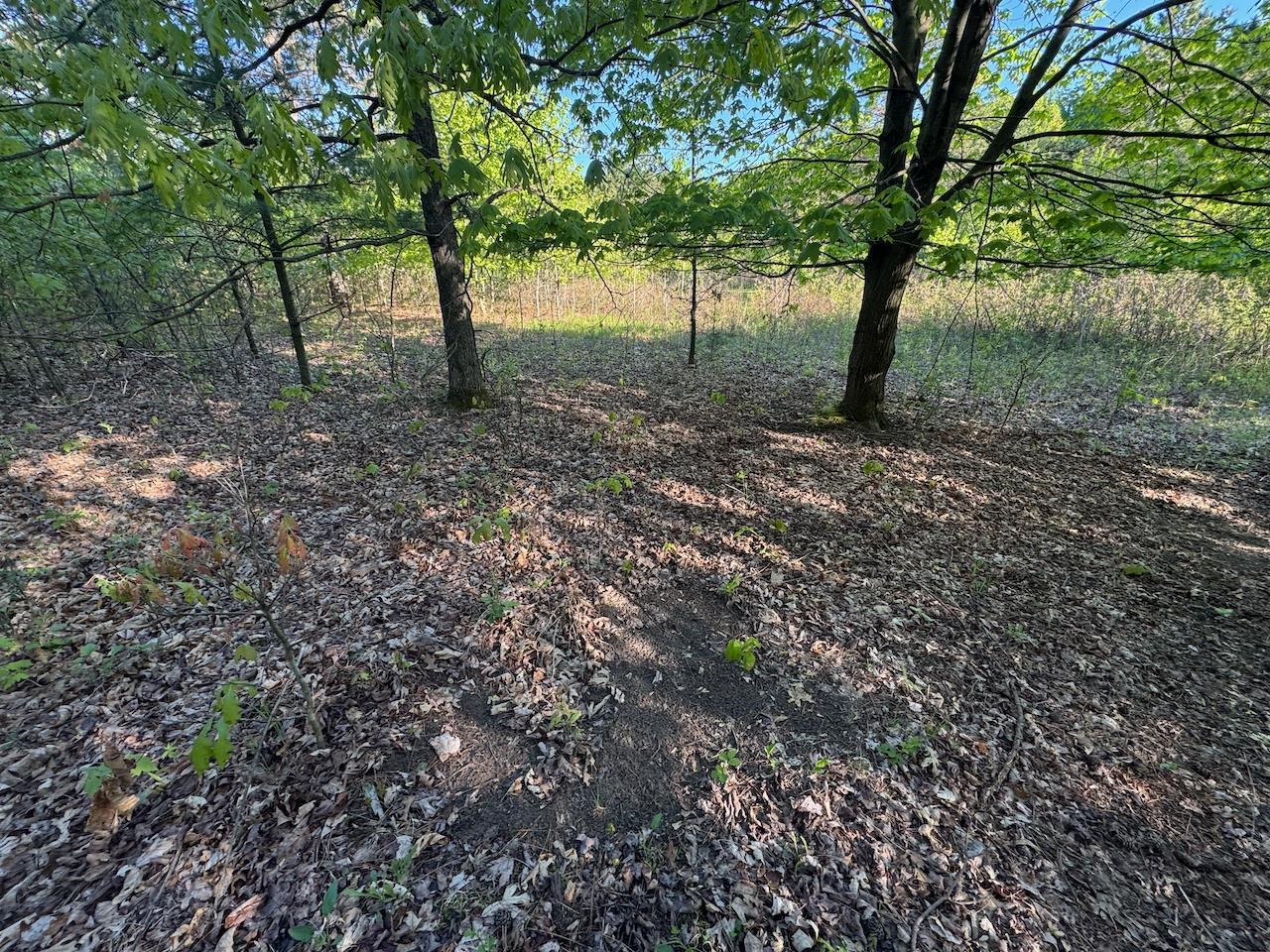 3824 County Highway East Warrens, WI 54666 - Photo 69 of 73