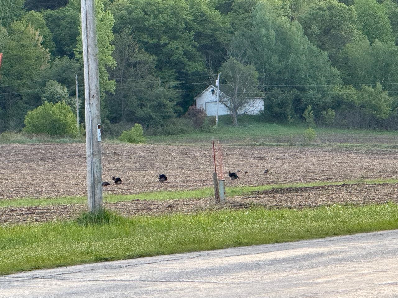 3824 County Highway East Warrens, WI 54666 - Photo 70 of 73