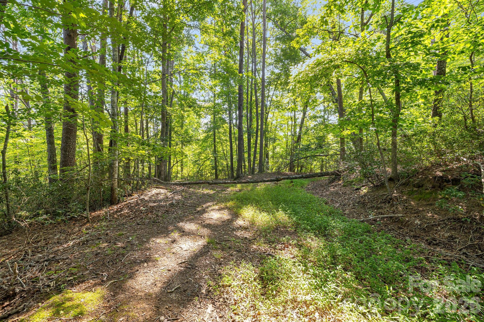 0 Canoe Drive, Unit 40 Mill Spring, NC 28756 - Photo 14 of 23