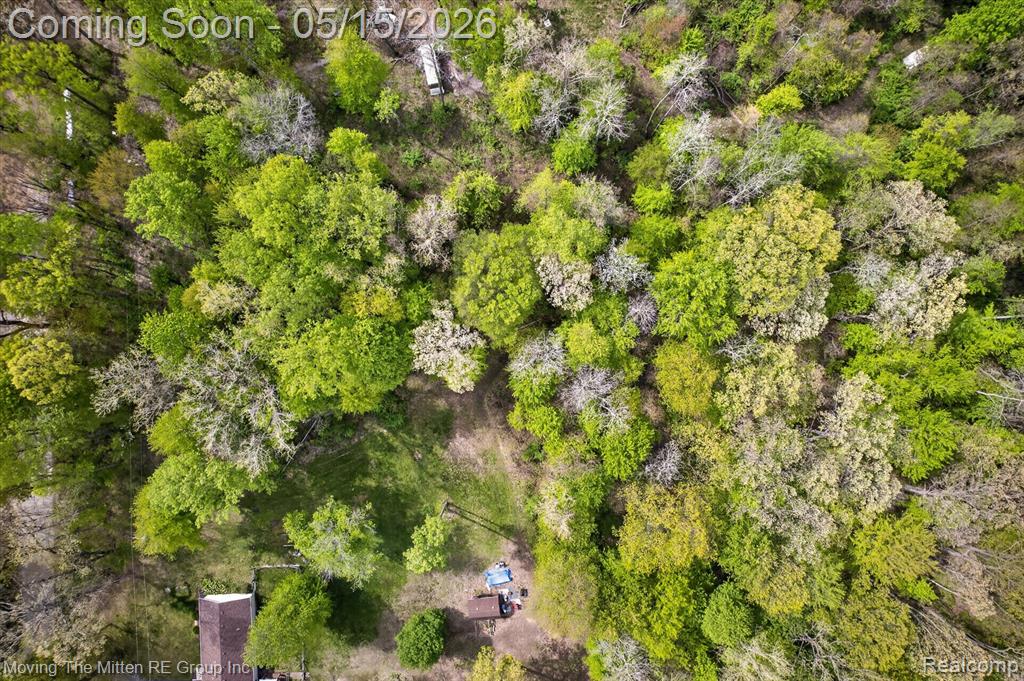 22530 Bohn Road Belleville, MI 48111 - Photo 13 of 28