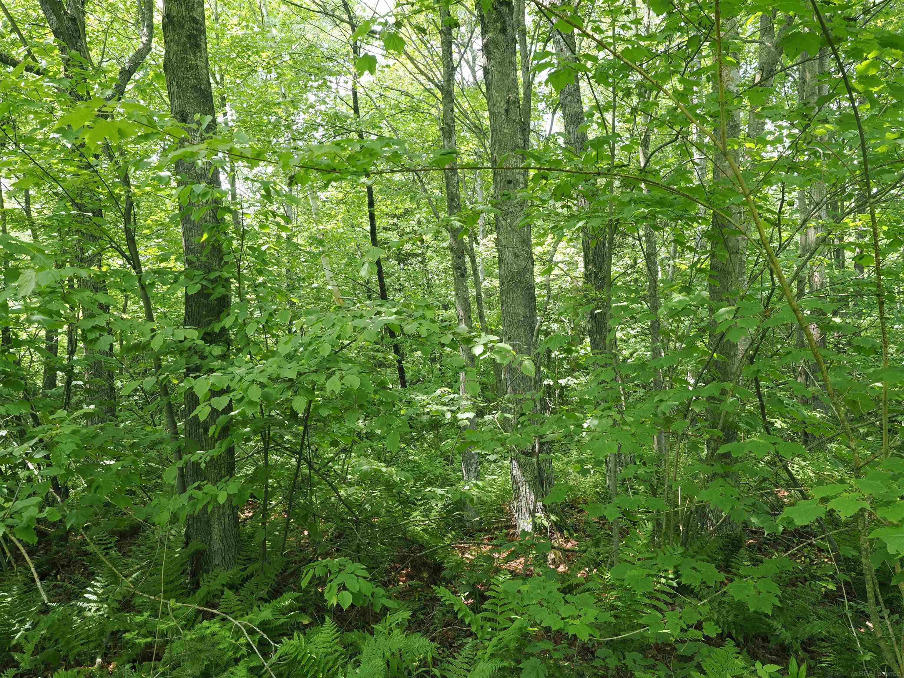 5 West 5 Mile Road Sault Ste. Marie, MI 49783 - Photo 26 of 30