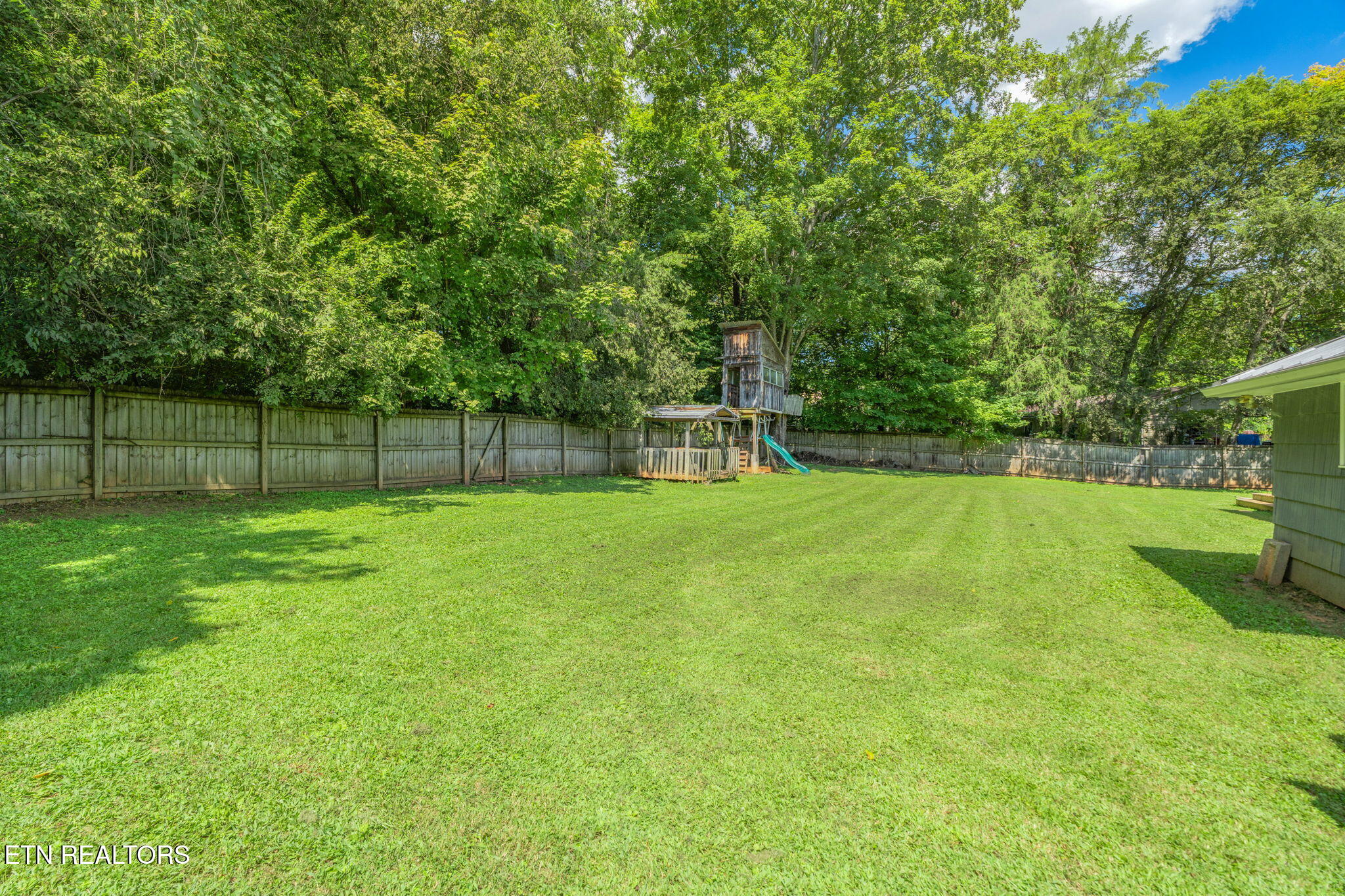 1025 Morrell Road Knoxville, TN 37919 - Photo 34 of 45 Backyard