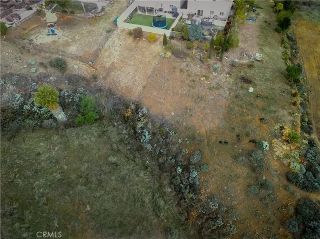 a view of a yard with plants