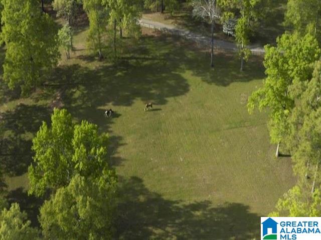 South Oak Drive, Unit 2 Montevallo, AL 35115 - Photo 9 of 24