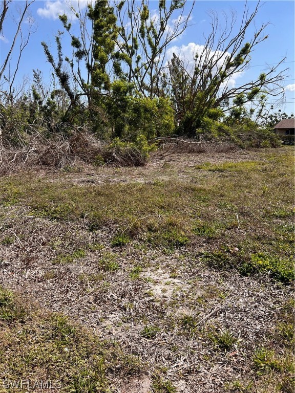 5967 Kingfish Road Bokeelia, FL 33922 - Photo 2 of 4 a view of a yard with a tree
