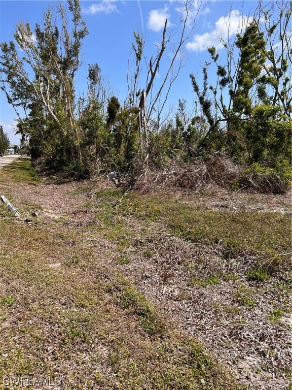 5967 Kingfish Road Bokeelia, FL 33922 - Photo 4 of 4 a view of a yard