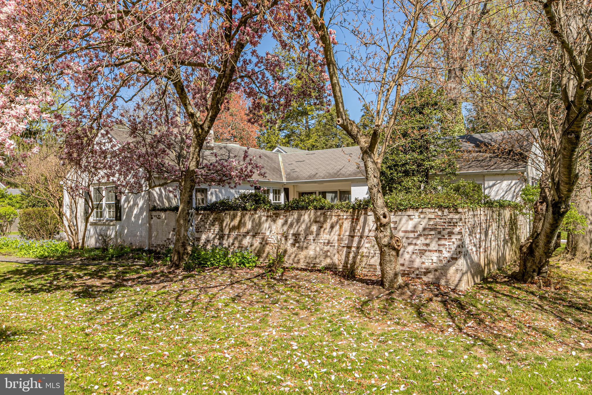 498 Rosedale Road Princeton, NJ 08540 - Photo 38 of 48 a view of backyard with large tree