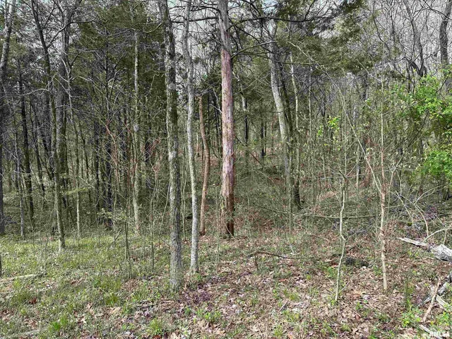 $739,000 | 415 Pinoak Lane, Cypress, IL 62923