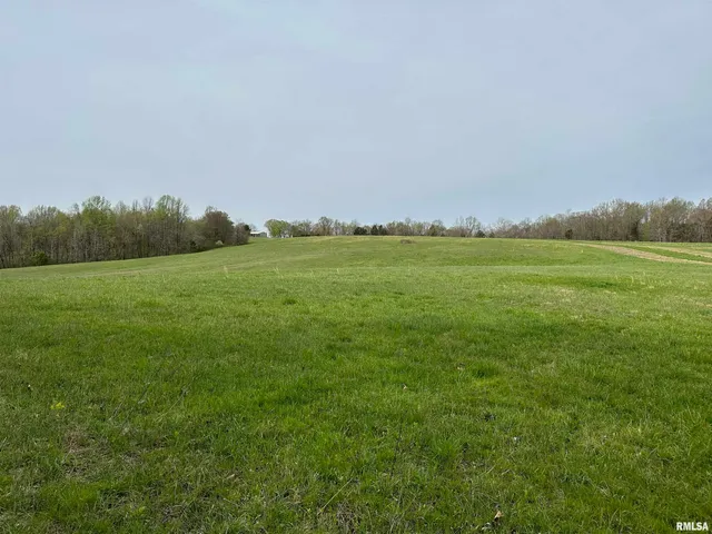 $739,000 | 415 Pinoak Lane, Cypress, IL 62923