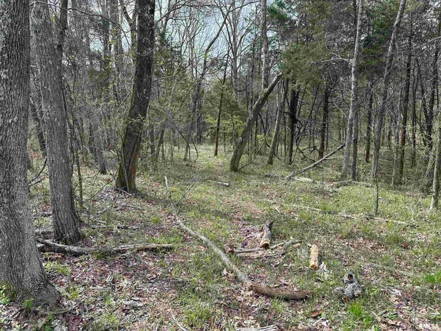 $739,000 | 415 Pinoak Lane, Cypress, IL 62923