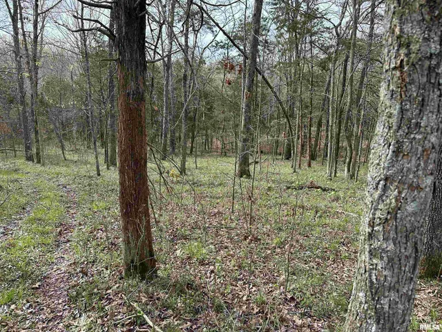 $739,000 | 415 Pinoak Lane, Cypress, IL 62923