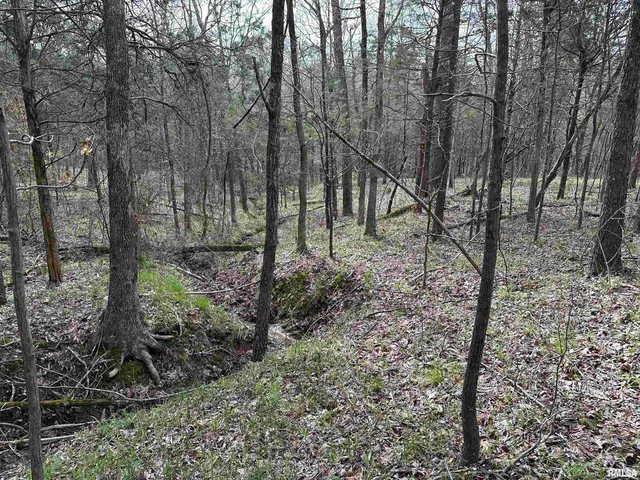 $739,000 | 415 Pinoak Lane, Cypress, IL 62923