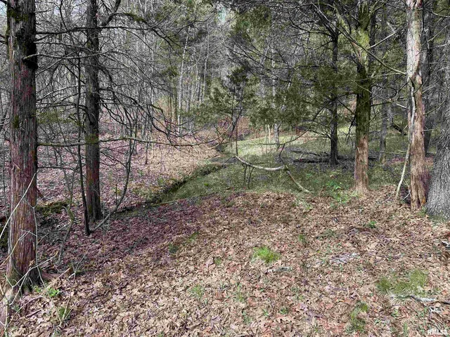 $739,000 | 415 Pinoak Lane, Cypress, IL 62923