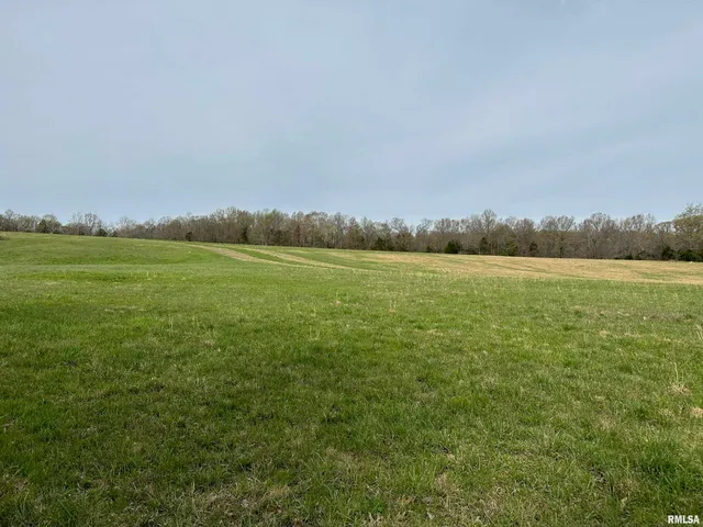 $739,000 | 415 Pinoak Lane, Cypress, IL 62923