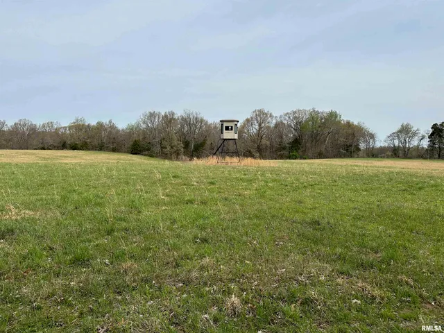 $739,000 | 415 Pinoak Lane, Cypress, IL 62923