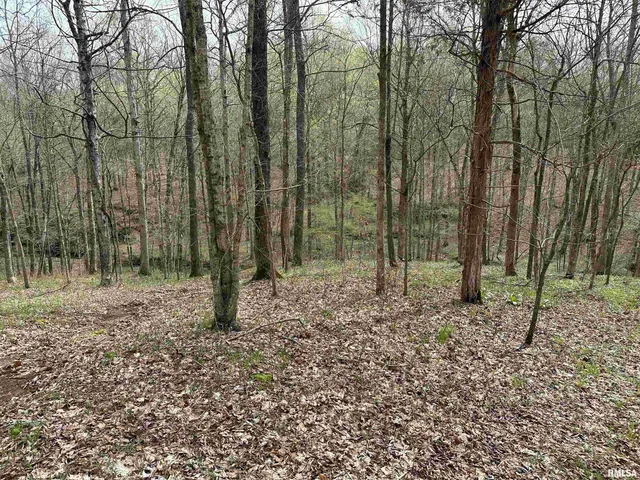 $739,000 | 415 Pinoak Lane, Cypress, IL 62923