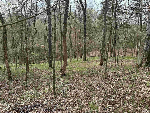 $739,000 | 415 Pinoak Lane, Cypress, IL 62923