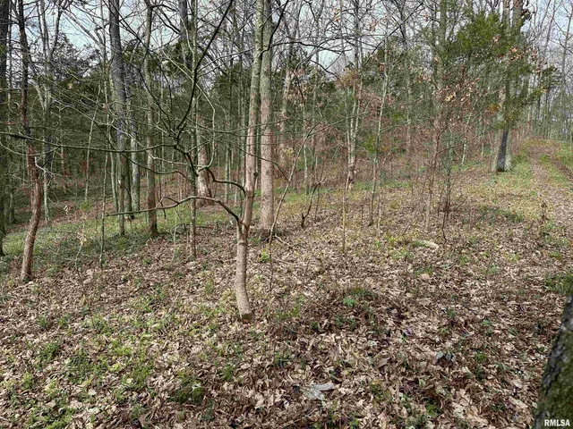 $739,000 | 415 Pinoak Lane, Cypress, IL 62923