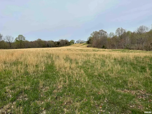 $739,000 | 415 Pinoak Lane, Cypress, IL 62923