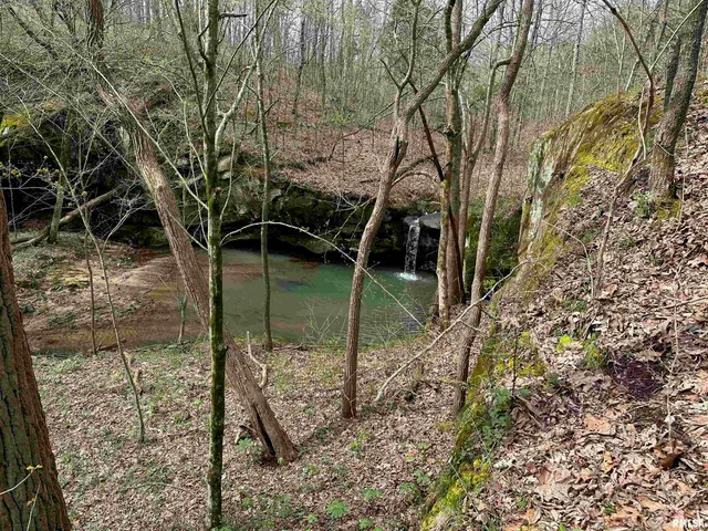 $739,000 | 415 Pinoak Lane, Cypress, IL 62923