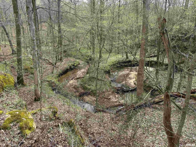 $739,000 | 415 Pinoak Lane, Cypress, IL 62923