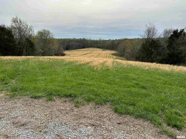 $739,000 | 415 Pinoak Lane, Cypress, IL 62923