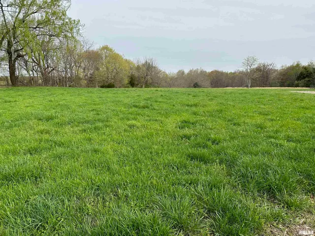 $739,000 | 415 Pinoak Lane, Cypress, IL 62923