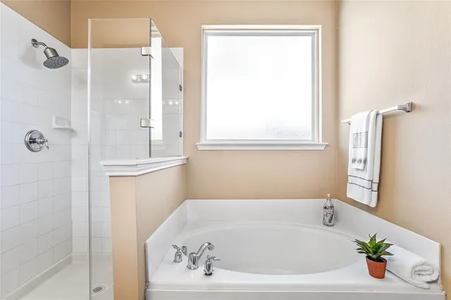 a bathroom with a bathtub and a shower