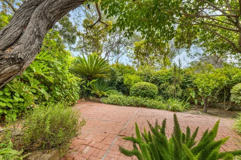 a view of a pathway both side of white house