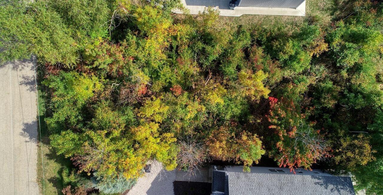 6912 3rd Street Douglas, MI 49406 - Photo 13 of 17 drone straight down