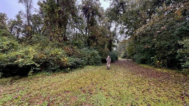 8455 Old Georgetown Road McClellanville, SC 29458 - Photo 5 of 11 image3