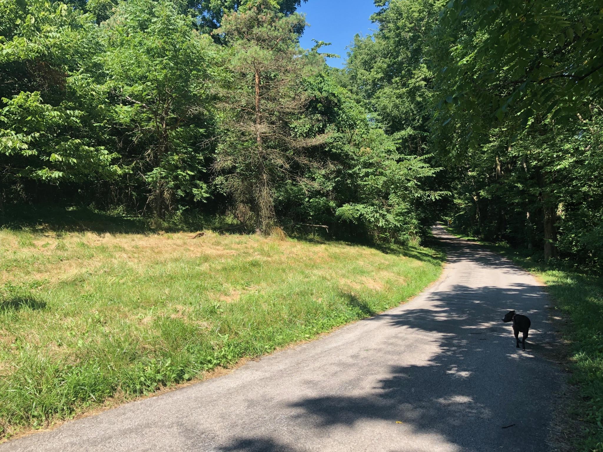 0 Slate Stone Road Cable, OH 43009 - Photo 2 of 3