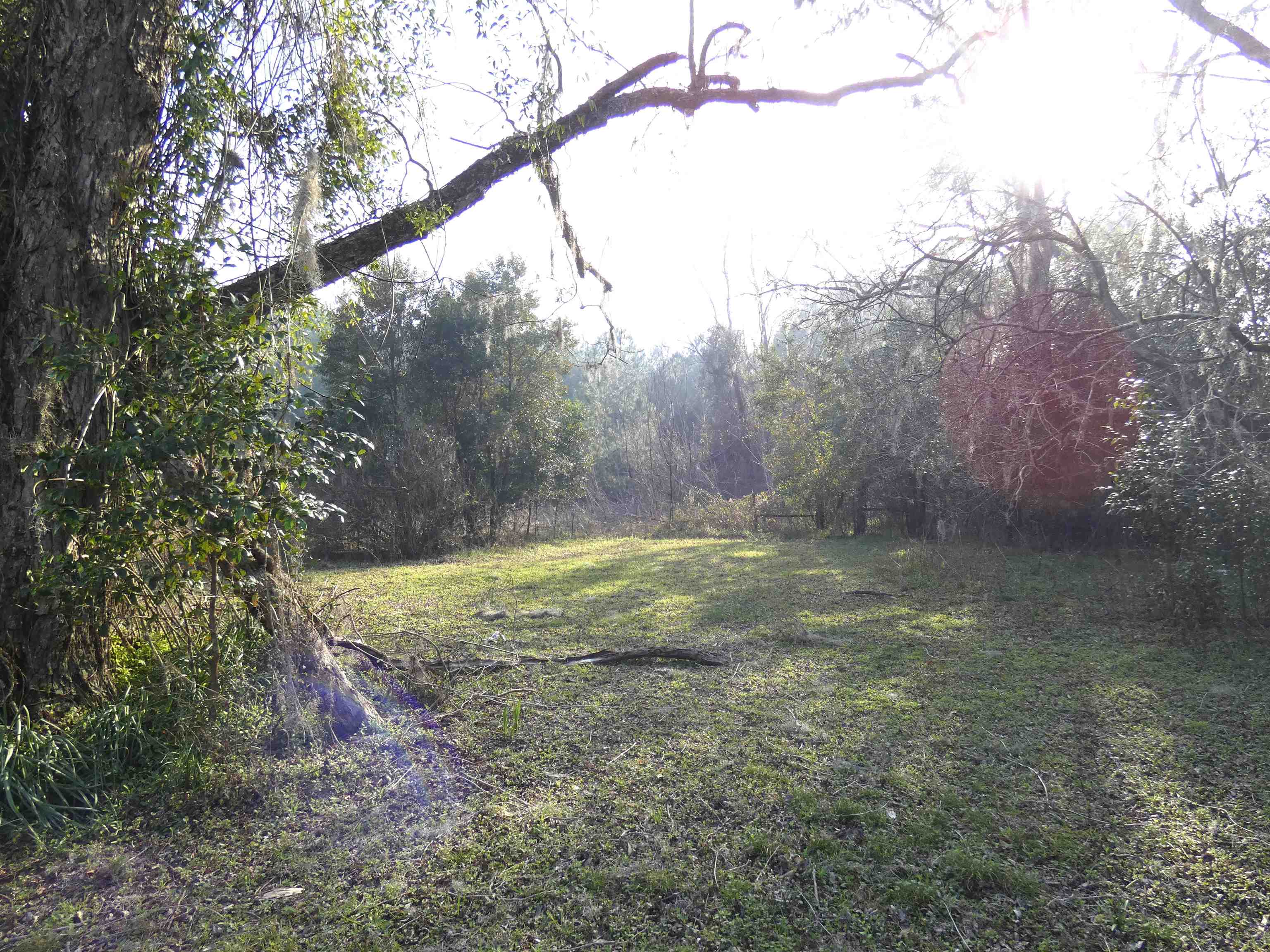 622 Limestone Road Monticello, FL 32344 - Photo 3 of 18 Gallery Image 3