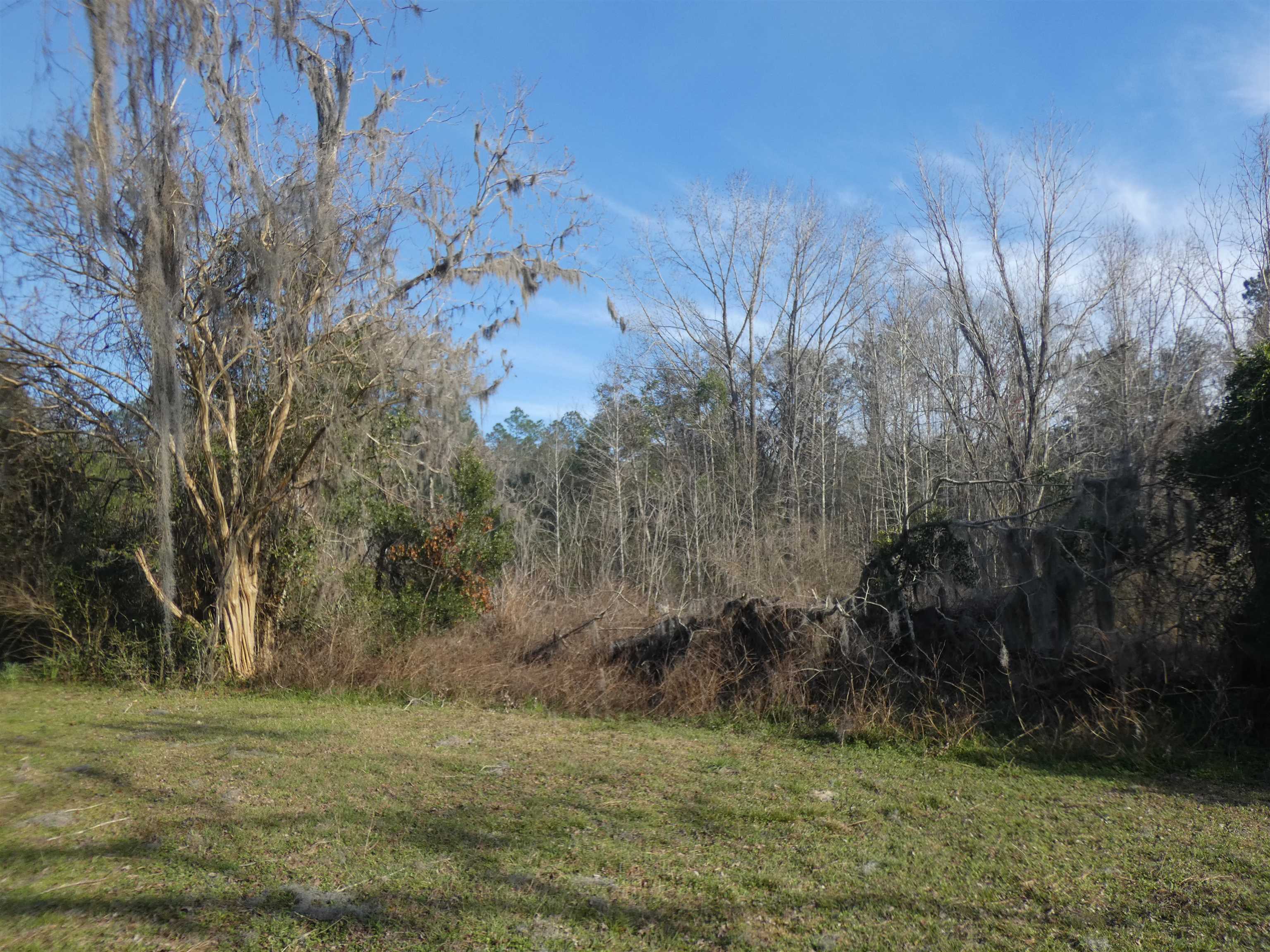 622 Limestone Road Monticello, FL 32344 - Photo 6 of 18 Gallery Image 6