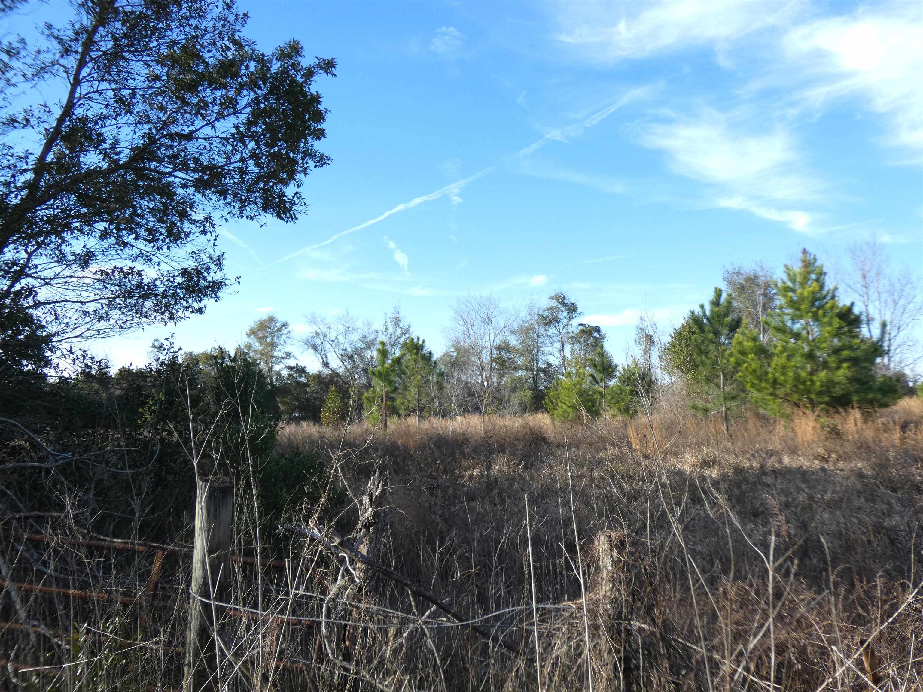 622 Limestone Road Monticello, FL 32344 - Photo 7 of 18 Gallery Image 7