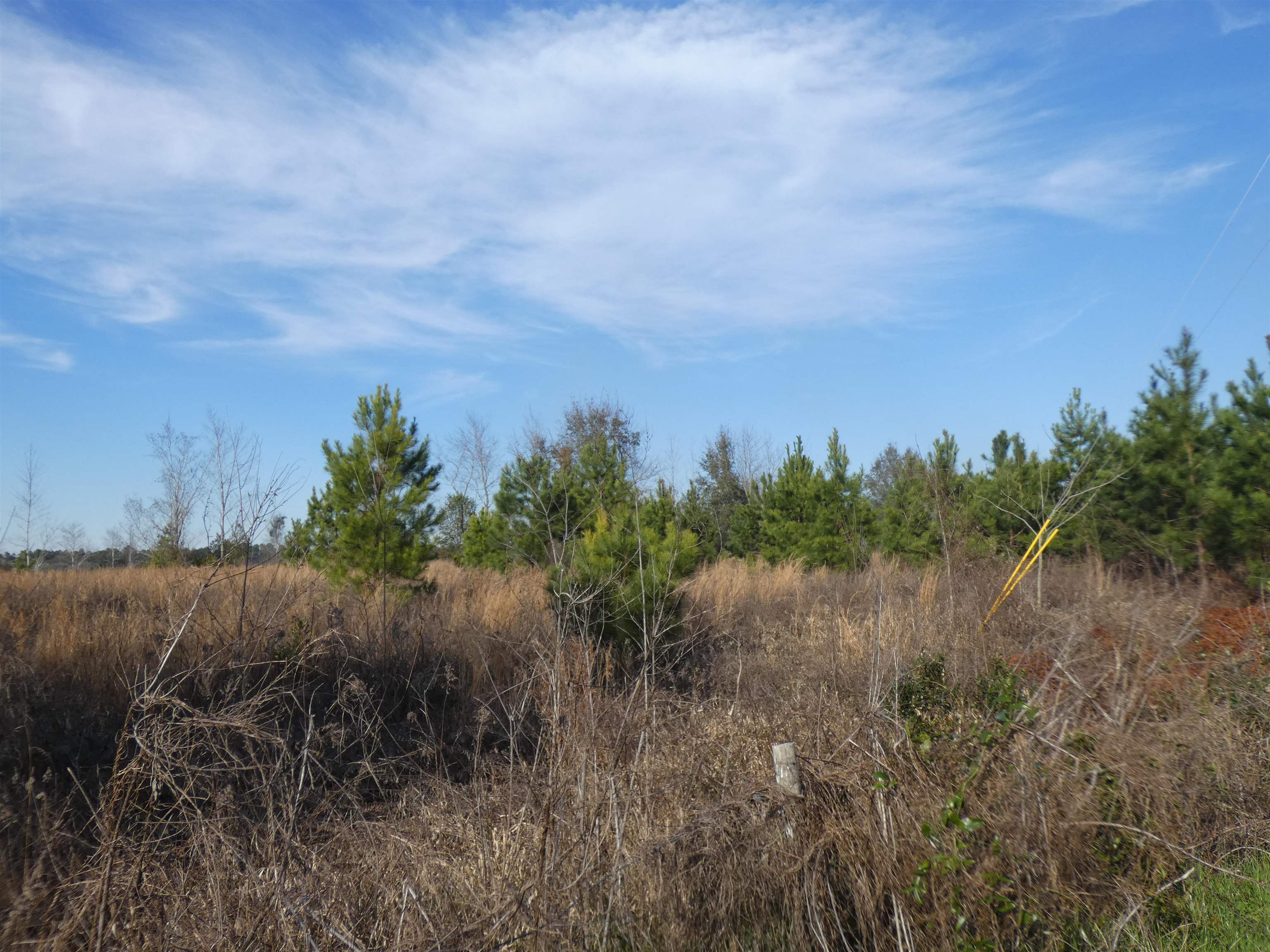 622 Limestone Road Monticello, FL 32344 - Photo 8 of 18 Gallery Image 8
