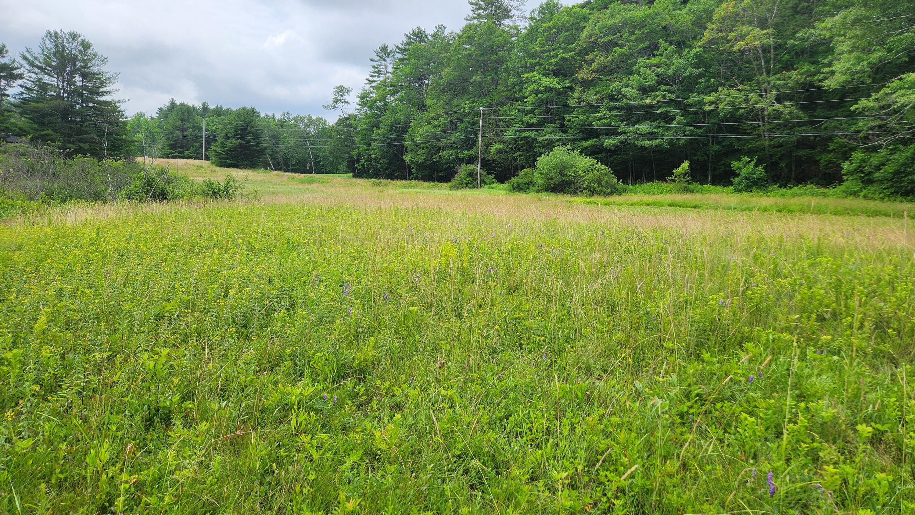 0 Dana Mill Road Woolwich, ME 04579 - Photo 9 of 26