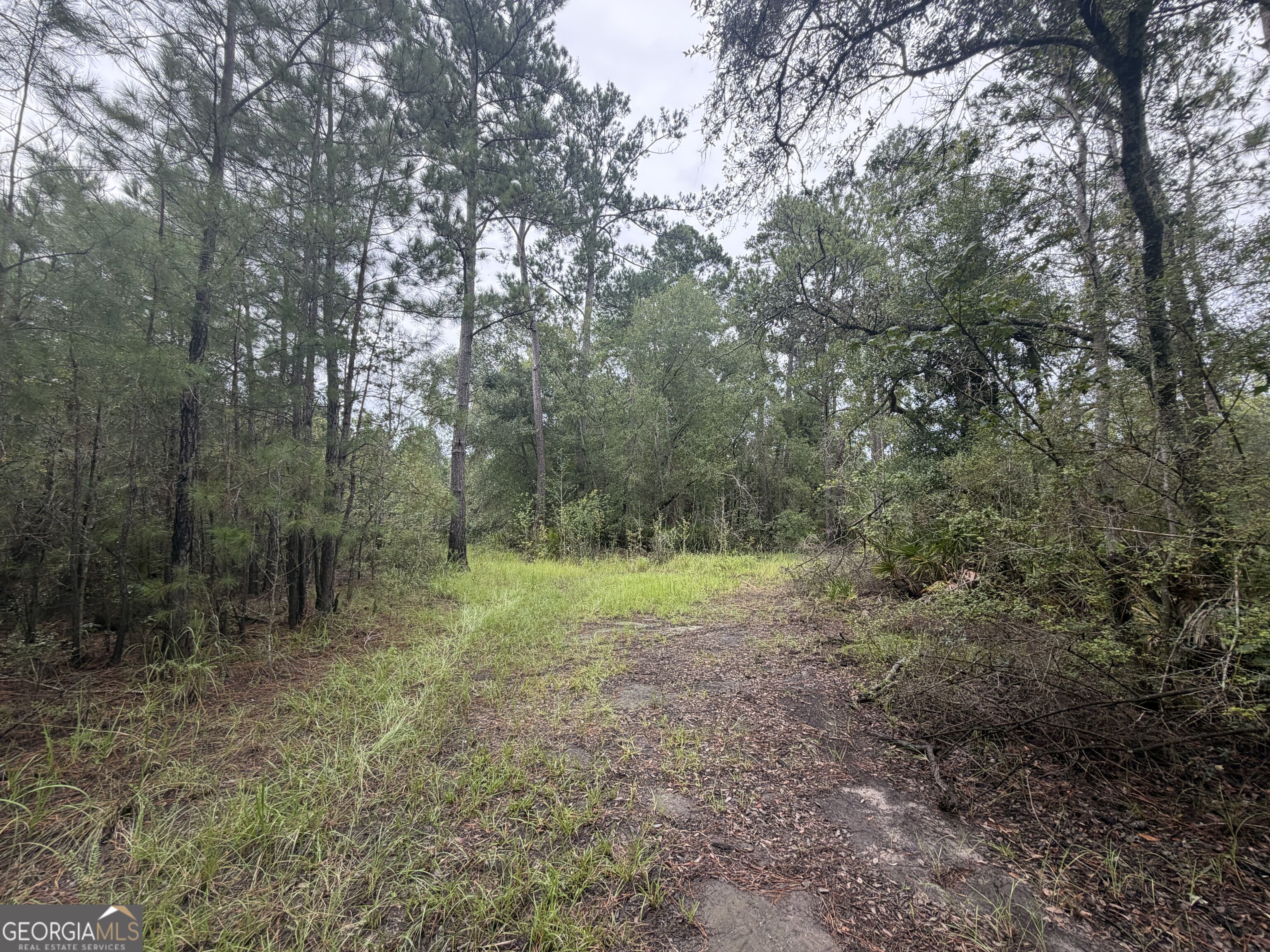 0 Jamestown Road Waycross, GA 31503 - Photo 75 of 92 Gallery Image 75