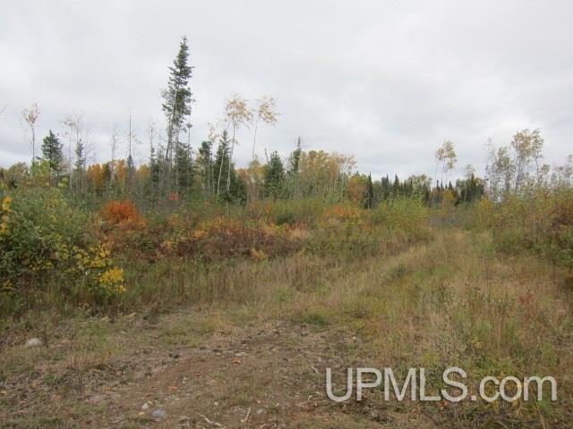 Tbd Lukes Road Crystal Falls, MI 49920 - Photo 15 of 17 Gallery Image 15