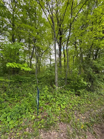 $38,500 | Xxxx 241st Avenue Northeast, Stacy, MN 55079